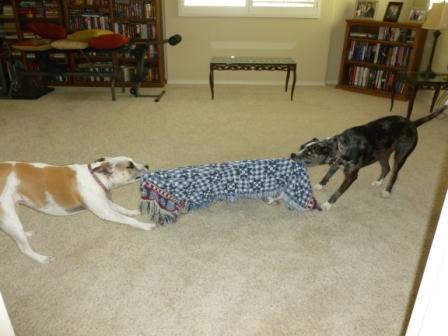 Tug-of-war